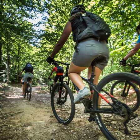 Quel VTT choisir pour partir en voyage en itin rance GTMC VTT